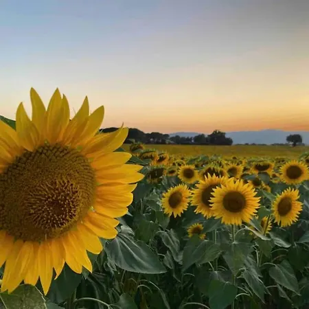 Monolocale In Convento Del 1600 Apartamento Terni